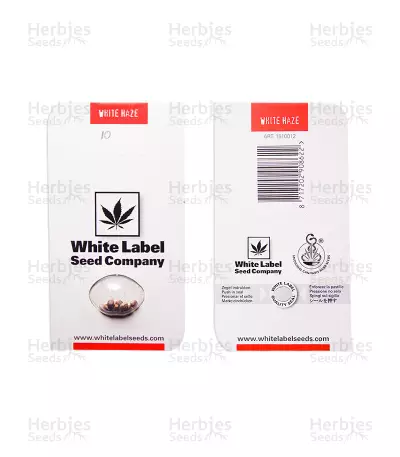 Graines de cannabis White Haze Regular (White Label)
