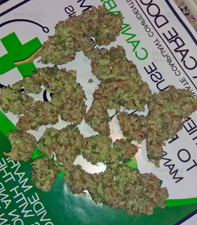 Misty Kush (Nirvana Seeds)