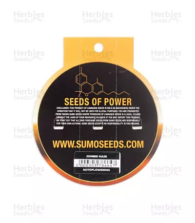 Zombie Haze Auto feminized seeds