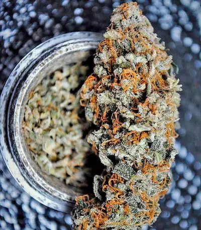 Blue Kush strain