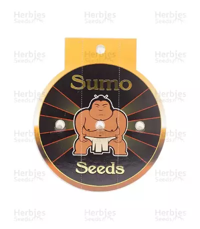 White Caramel Cookie feminized seeds