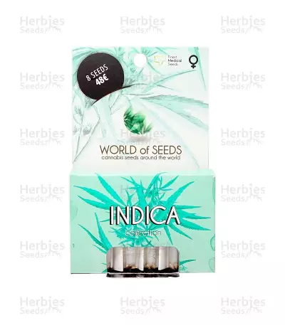 Buy Indica Pure Origin Collection feminized seeds