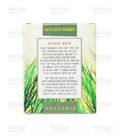 Auto Jack Hammer (Victory Seeds)