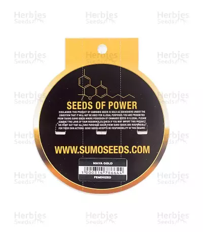 Maya Gold Seeds