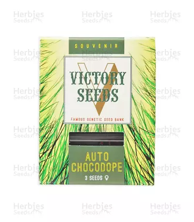 Graines de cannabis Auto Chocodope (Victory Seeds)