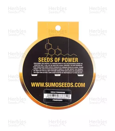 Cold Thunder (Sumo Seeds)