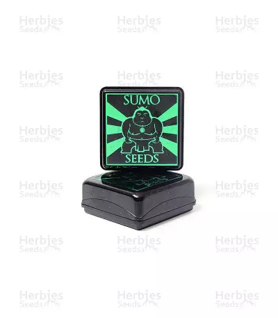 Super Hindu Kush regular seeds