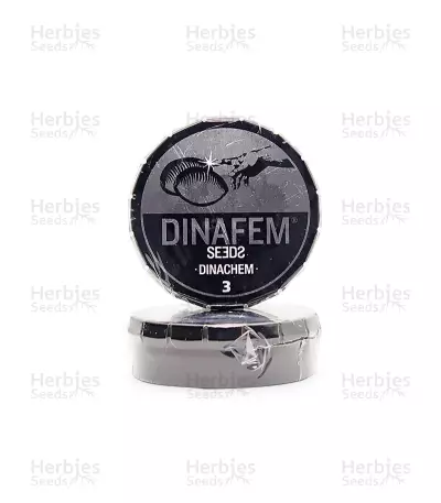 Dinachem feminized seeds