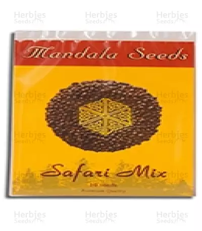 Graines de cannabis Safari Mix regular (Mandala Seeds)