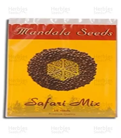 Buy Safari Mix regular seeds