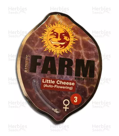 Little Cheese Seeds