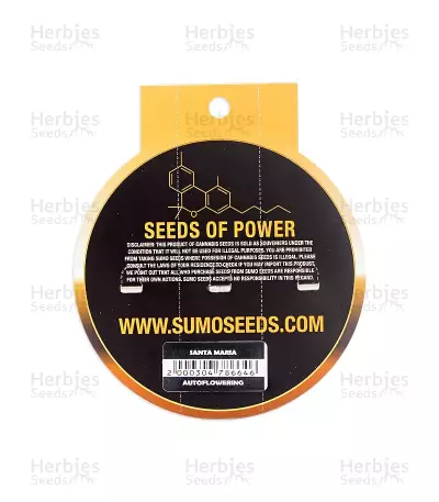 Santa Maria Auto (Sumo Seeds)