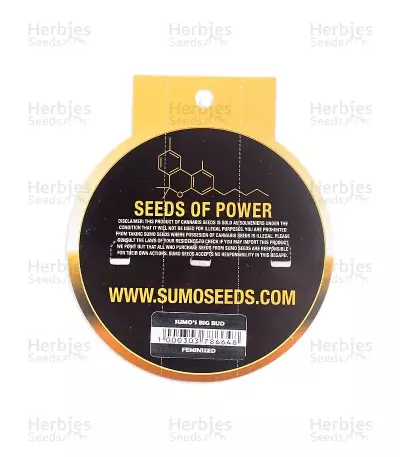 Sumo's Big Bud Seeds