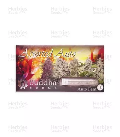 Buddha Assorted Auto (Buddha Seeds)