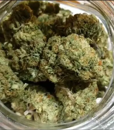 Phantom OG (Barney's Farm)