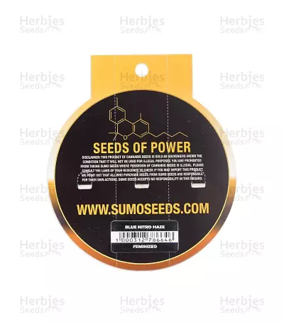 Blue Nitro Haze seeds