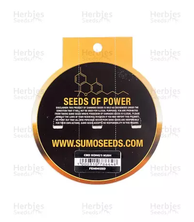 CBD Kong's Kush Seeds