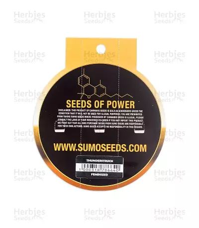 Graines de cannabis Thunderstruck (Sumo Seeds)