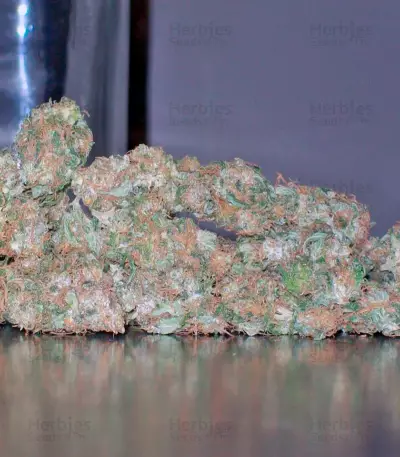 La Lybella Seeds