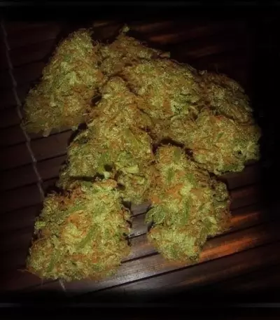 Amnezia VIP Seeds
