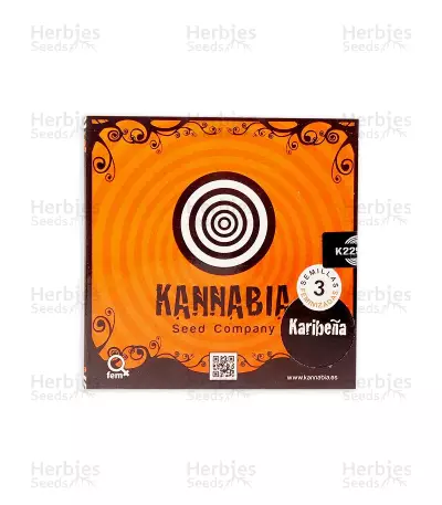 Karibbean Mango (Kannabia Seeds)