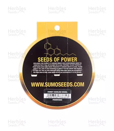Sweet Harlem Diesel Seeds