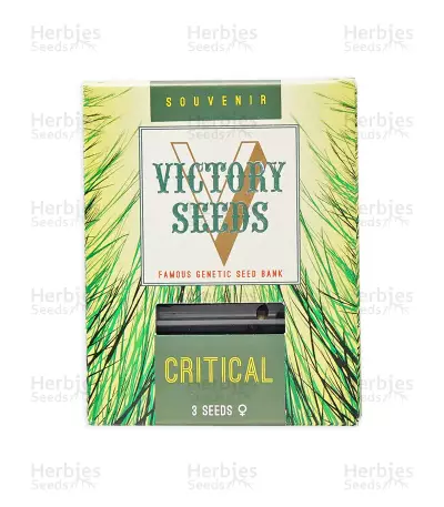 Critical Seeds