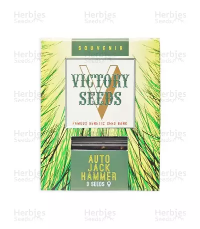 Auto Jack Hammer (Victory Seeds)