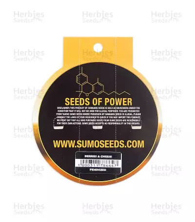 Berries & Cheese Seeds
