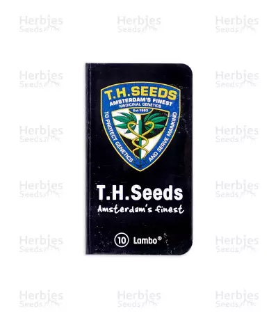 Lambo Seeds