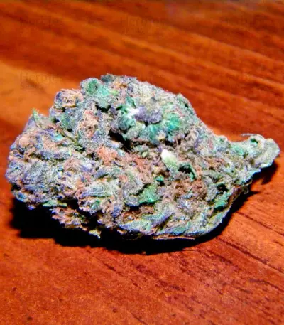 Alaskan Ice Seeds