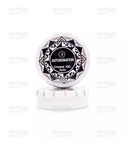 Cheese XXL Autoflowering (Dinafem Seeds)