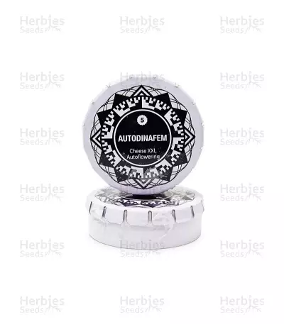 Cheese XXL Autoflowering (Dinafem Seeds)