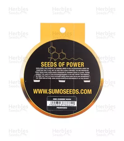 CBD Cherry Kush Seeds