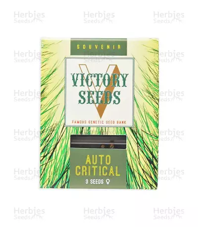 Auto Critical (Victory Seeds)