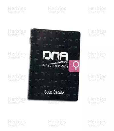 Graines de cannabis Sour Cream (DNA Genetics)