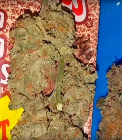 Bulk Smash Auto feminized seeds