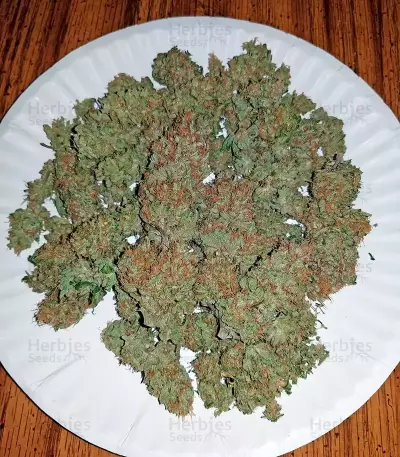 Strawberry Cake Seeds