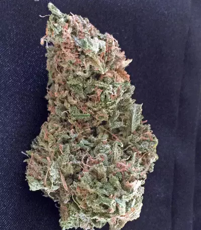Semi femminizzati Afgooey