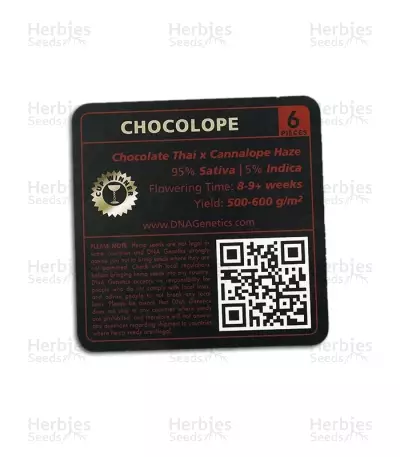 Chocolope (DNA Genetics)