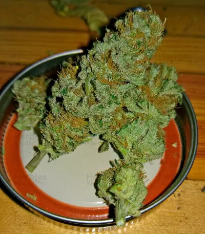 Russian Doll Seeds