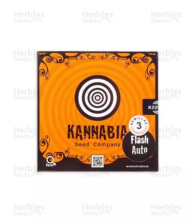 Flash Auto feminized seeds