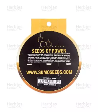 Impala 64 Haze Auto feminized seeds