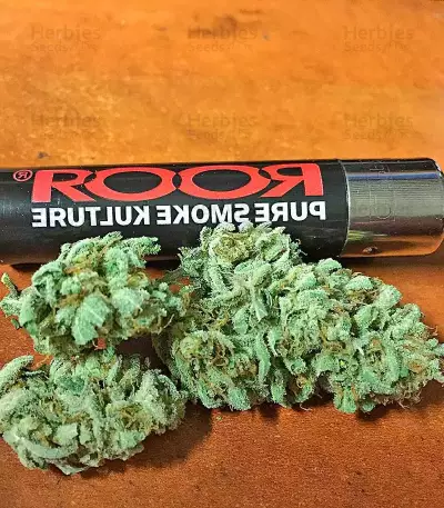 Strawberry Cake Seeds