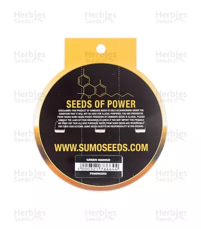 Green Mango (Sumo Seeds)