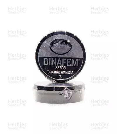 Graines de cannabis Original Amnesia (Dinafem Seeds)