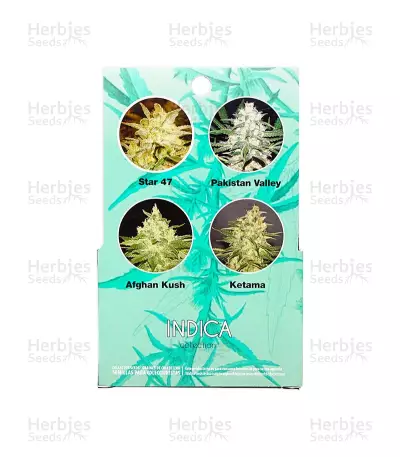 Indica Pure Origin Collection (World of Seeds)