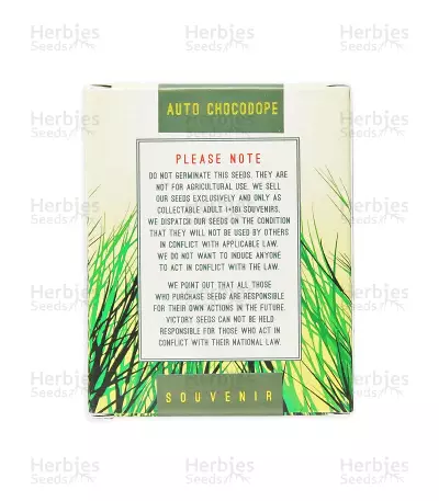 Graines de cannabis Auto Chocodope (Victory Seeds)