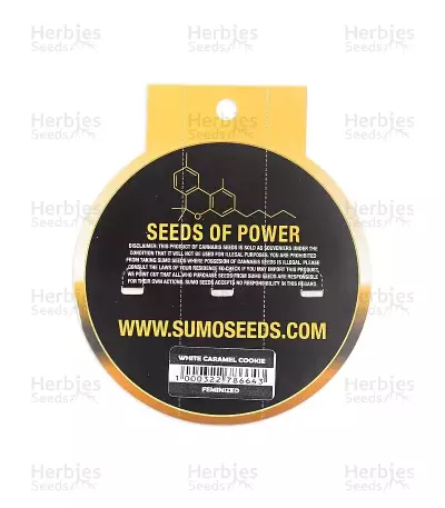 White Caramel Cookie feminized seeds