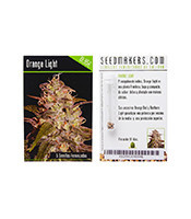 Orange Light feminized seeds